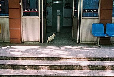 《异度神剑3》未解之谜将在后续作品公布