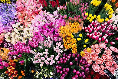 踏入日本战国时代《刺客信条：影》发布最新预告