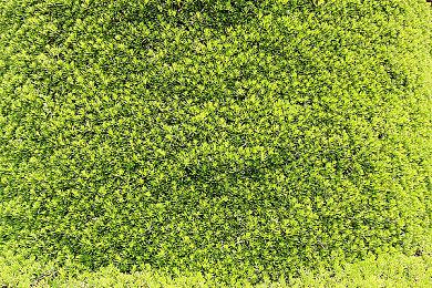 2D动作冒险《追求：伊娜传说》12月17日发行