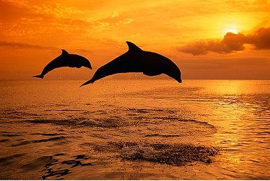 2019年斯宾塞想关闭整个Xbox 全面专注手游